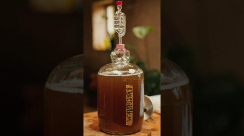 Would You Taste This ‘Beer’ Made With Wild WEEDS? 🌿 #shorts