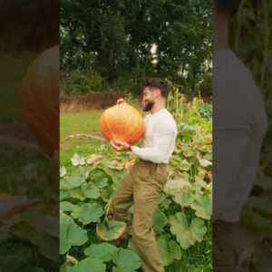 CAN THE MOON HELP YOU GROW HUGE VEGETABLES? 🍆 #shorts