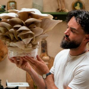 Easiest Way To Grow Mushrooms in a Buckets At Home (Day 1 to Harvest!)