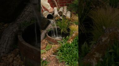 TINY POND HACK🌿 want a pond but have a small space, make a whiskey barrel pond! #shorts
