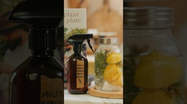 NO MORE HARSH CHEMICALS IN YOUR HOME! make this zero waste kitchen spray instead! 🌿 #shorts
