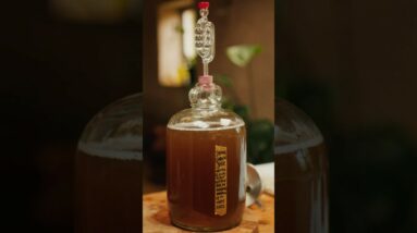 Would You Taste This ‘Beer’ Made With Wild WEEDS? 🌿 #shorts