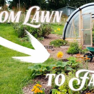 Your Lawn is WASTED Space, Grow Food Instead!  🌿