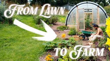Your Lawn is WASTED Space, Grow Food Instead!  🌿