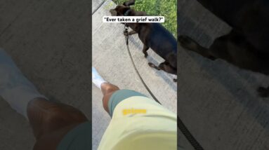 Ever taken a “grief walk”? #stress #seasonaldepression #sad #mentalhealth #morningwalks #alonetime