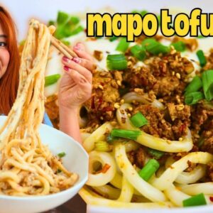 This Creamy MAPO TOFU UDON Recipe Went VIRAL, so I Made it IMMEDIATELY 😍 (Vegan Mapo Tofu Udon)