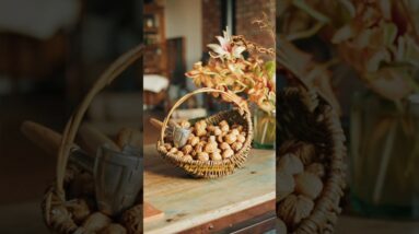 Before plastic bags, there was this plant! 🧺 #shorts