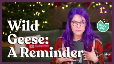 Ep 24: Wild Geese | A Different Kind of Reminder | Relish Podcast (Quick Bite)